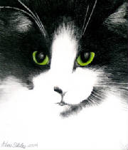 greeneyedbeauty.jpg