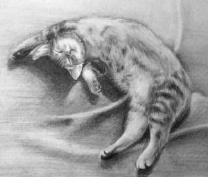 sunnap-for-abby.jpg